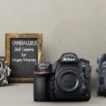 Best Camera For Wedding Photography in 2022 (Top 5 Picks)