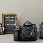 Best Camera for Wedding Photography