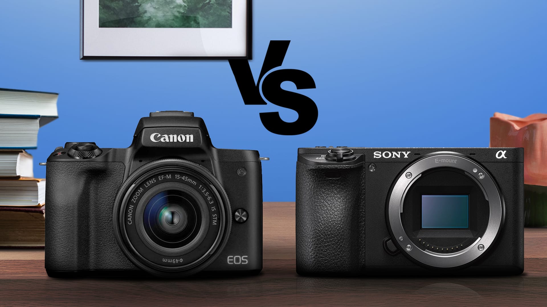 Canon M50 vs Sony A6500