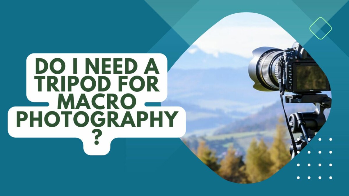 Do I Need A Tripod For Macro Photography? Stability Insights