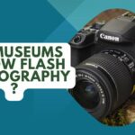 Do Museums Allow Flash Photography? Visitor Guidelines