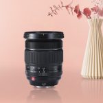Best Lenses For Pet Photography in 2022 (Top 5 Picks)