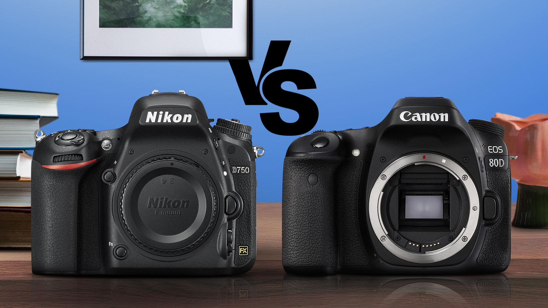 Nikon D750 vs Canon 80D