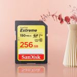 Best SD Cards For Nikon D3300 - Which Is The Right One For Your Camera?