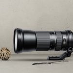 Best 150-600mm Lenses Of 2022 (Buying Guide)