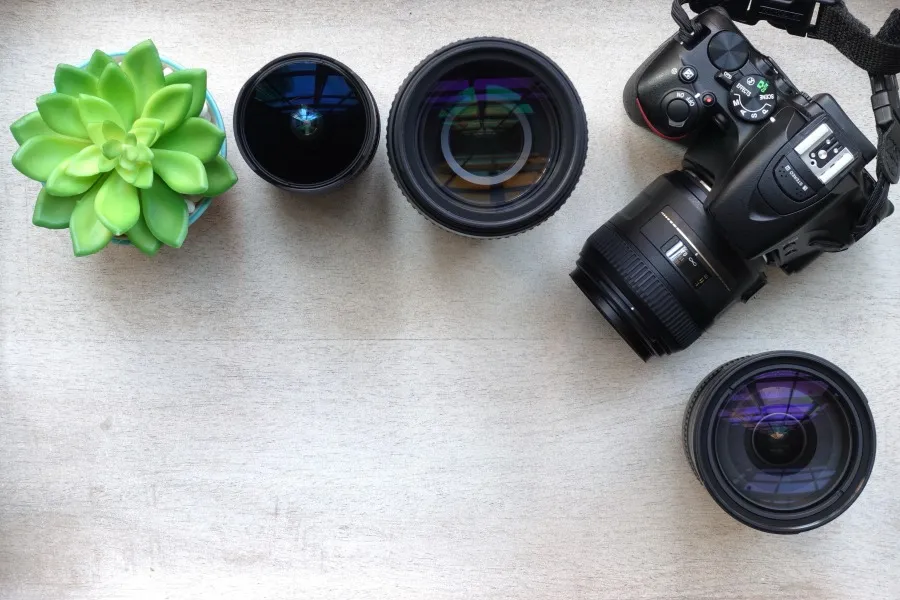 85mm vs 50mm Lens: What's The Difference?