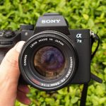 Best Wide Angle Lenses for Sony A7III (Comparison)